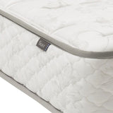 シルキーポケットハード（ウール入り）