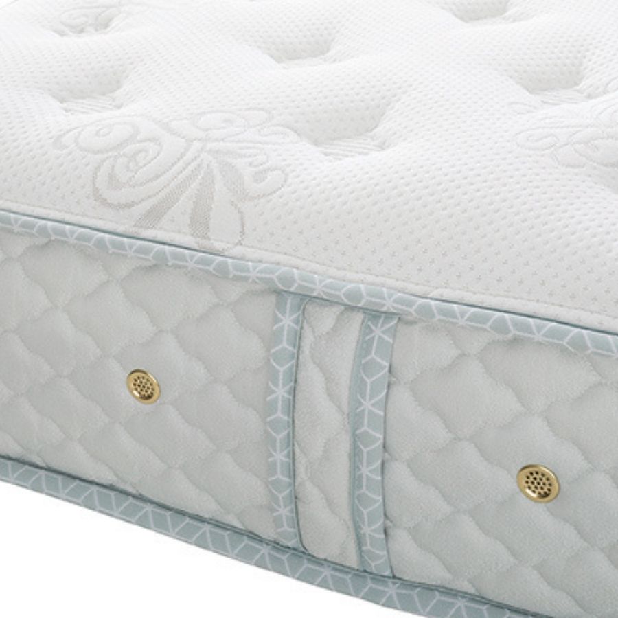 シルキーシフォン