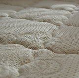 【EC限定】ビーズポケットレギュラー（ニット）